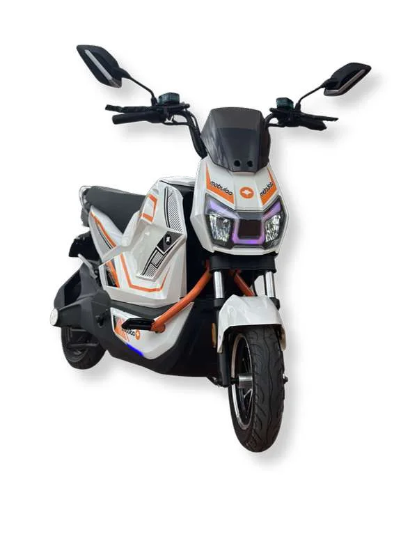 RAPTOR B PRO EB-9B
