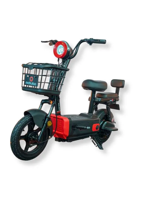 ELFO EB-1C