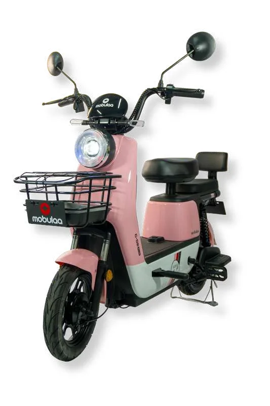 CAMELLITO PLUS EB-20